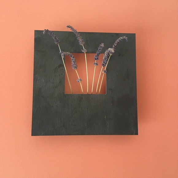 Meet your Posher, Sunny - Picture 1 of 1